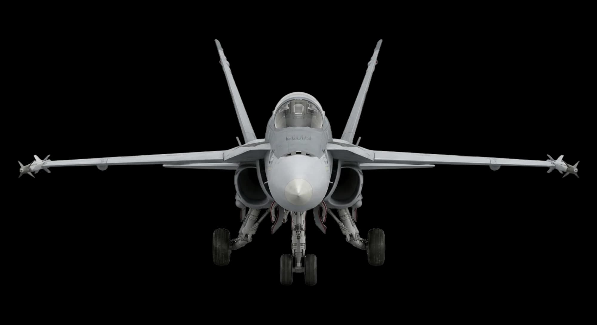 McDonnell Douglas F/A-18 Hornet 1978 - Front view