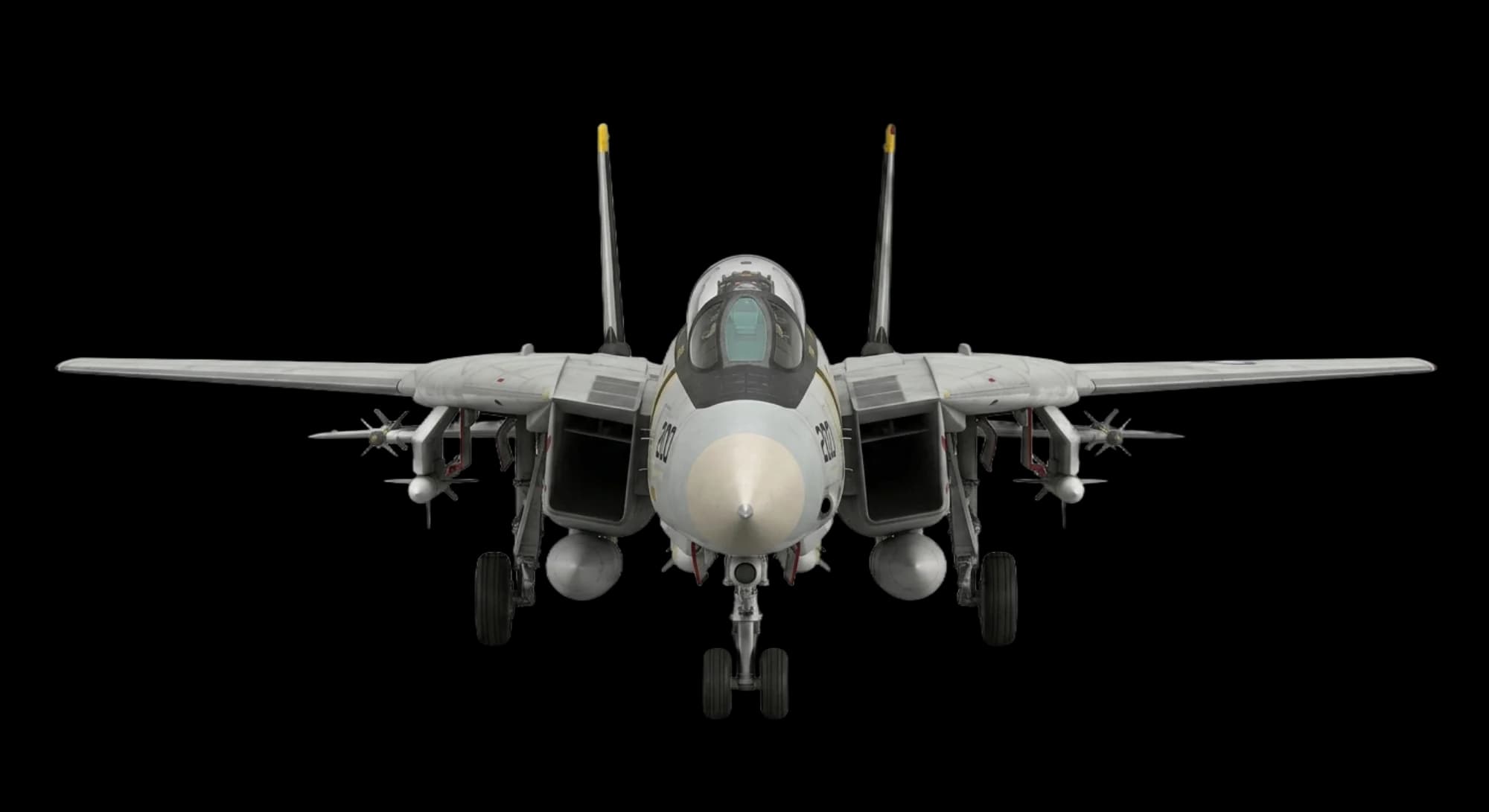 Grumman F-14 Tomcat 1970 - Front view