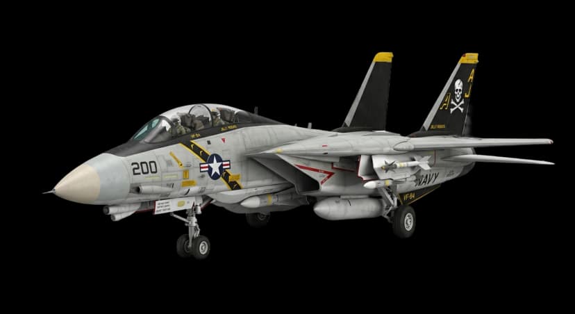 Grumman F-14 Tomcat