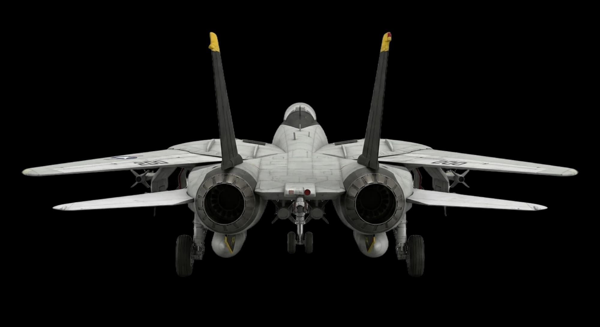 Grumman F-14 Tomcat 1970 - Rear view